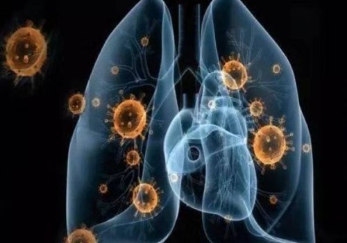 同卵龙凤胎概率到底如何？主要看这些！