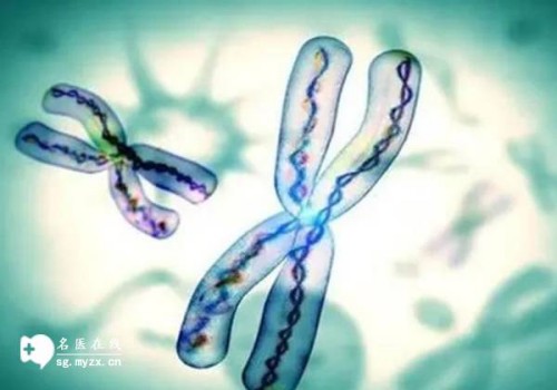 nt其实是看不出来男女的，不要轻信网上传言