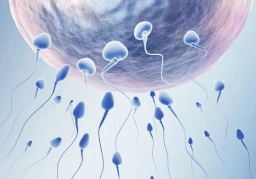 怀孕初期流产怎么办，附流产后的正确处理方法