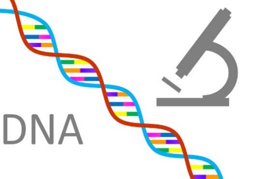上海供卵代怀儿子：宝宝喝水老是呛到是什么原因？解析宝宝喝水总是被呛的原因