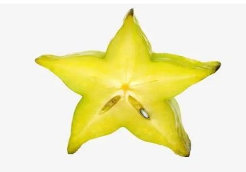 人工授精需要满足的四个条件，附提供成功率的方法