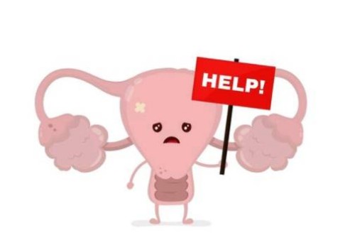 上海正规代怀：卵泡发育不良想怀孕可以用这些方法，帮助解决心头大患