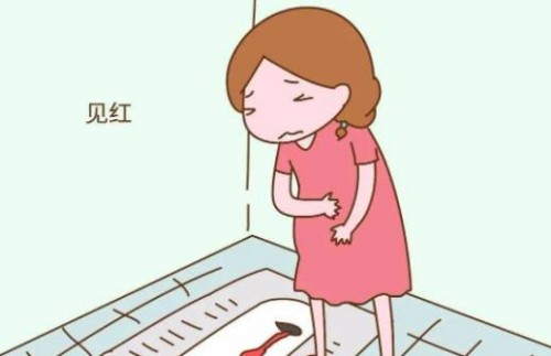 孕中期为什么导致胎停,胎停孕的原因详解