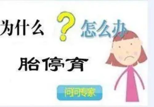 上海供精代怀：抗卵巢抗体阳性做试管有影响吗？试管前做好检查