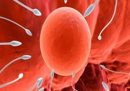 孕晚期胃疼要及时就医，这5招技巧教你怎么预防