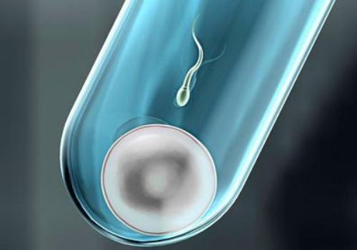 上海供精试管：2023年南阳中心医院试管婴儿的流程有哪些？附成功率和具体流程