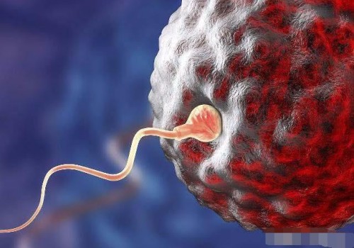 上海代生代怀机构：试管周期前验血很有必要，别等到移植后胎儿溶血后追悔莫及