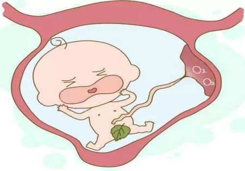 上海助孕代怀生子：产前先见红好还是先破水好,有什么区别