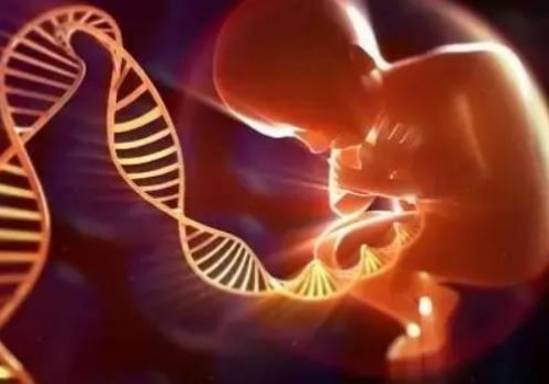 上海代怀服务：宫颈糜烂去做检查的检查流程你都知道吗？