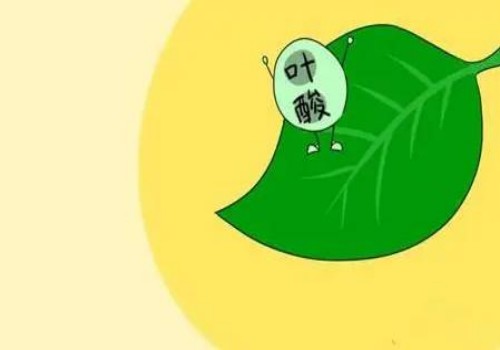 上海代怀：什么油对小孩的大脑发育好？没想到吃多了有还有这些坏处